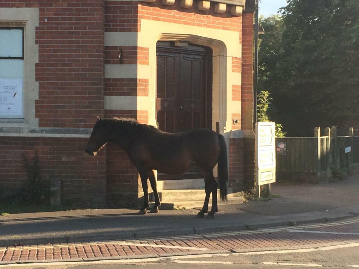 Brockenhurst Apartments エクステリア 写真